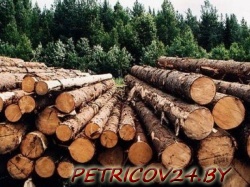 Петриковский лесхоз ГЛХУ