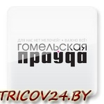 Видеоотчёт газеты "Гомельская правда"